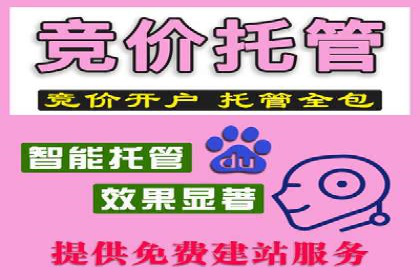搜索引擎营销（SEM）竞价中的创意策略案例